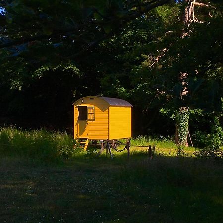 Blackstairs Shepherds Huts Killedmond Экстерьер фото