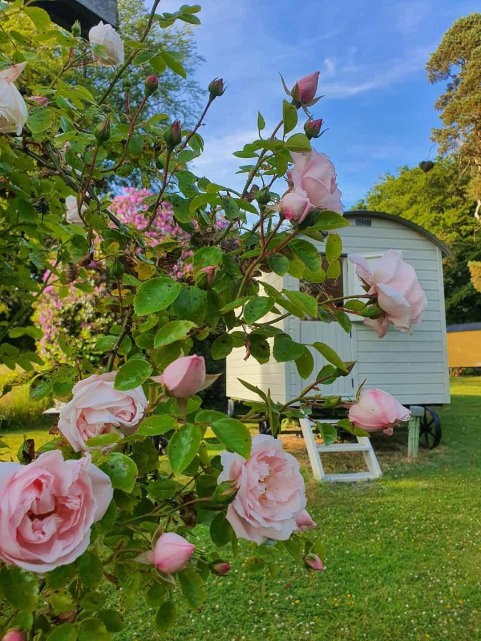 Blackstairs Shepherds Huts Killedmond Экстерьер фото