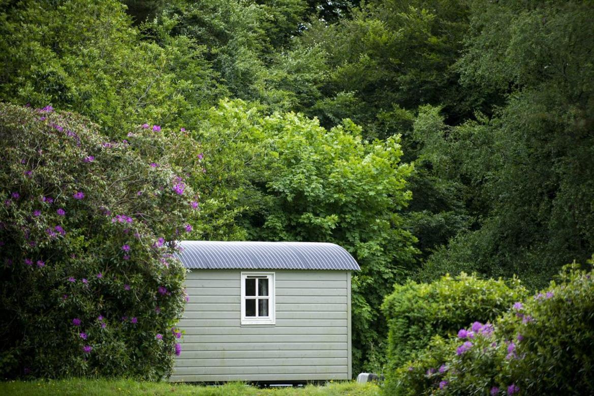 Blackstairs Shepherds Huts Killedmond Экстерьер фото
