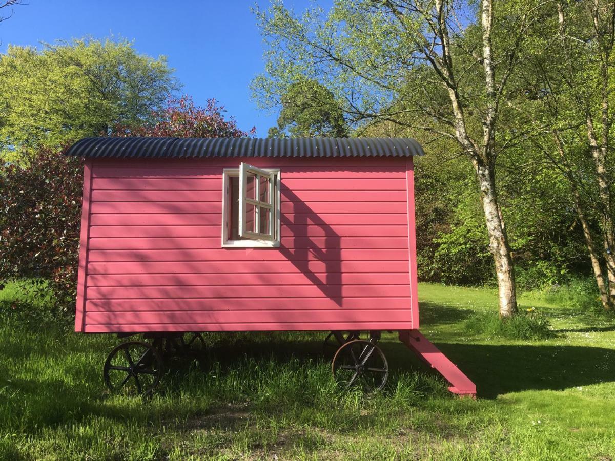 Blackstairs Shepherds Huts Killedmond Экстерьер фото